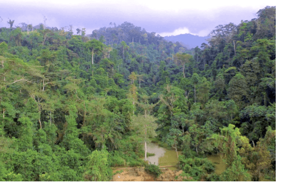Atewa Range Forest Reserve and proposed national park economic opportunity